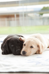 d55saVTDBKm4QEDenUMp.jpg?w=940&h=940