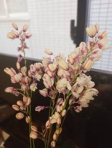 d5IpLJVz2gI7N4tH06SP.jpg?w=940&h=940