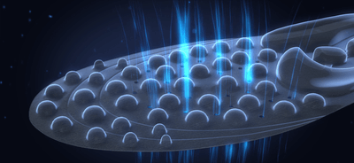 d5fBwjMcCK8VWV44Y7Km.png?w=940&h=940