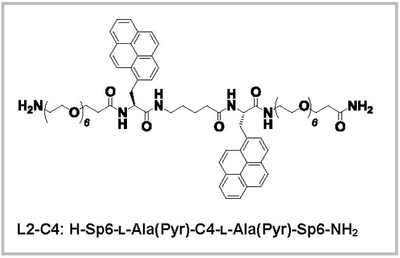 今回開発した発行体の化学式