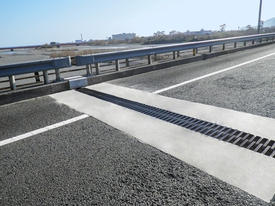 東名高速道路　安倍川橋（静岡県）　施工製品：3LⅡ-250