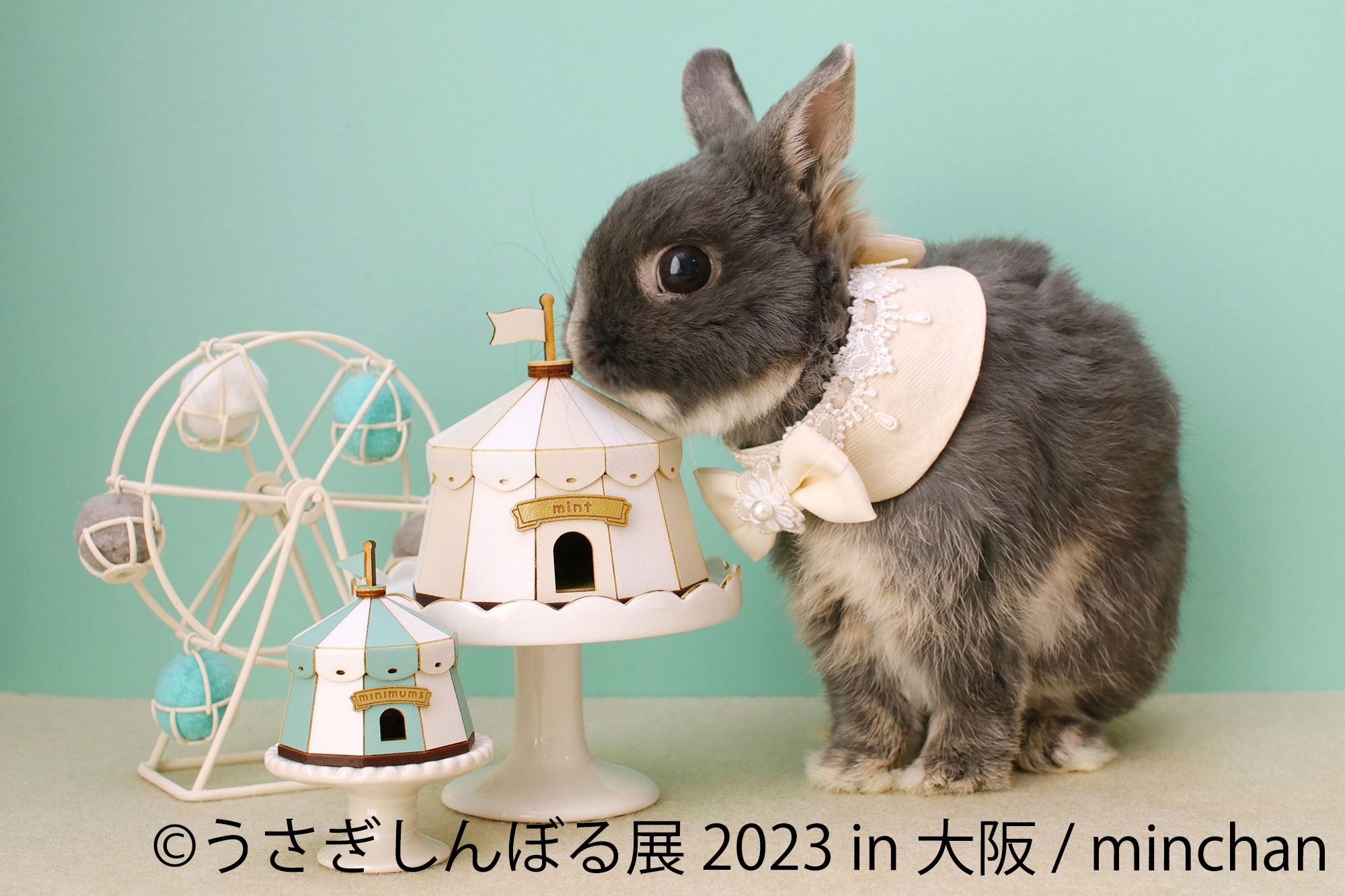 1年ぶりに大阪上陸！もふもふ可愛いうさぎ作品が集結する 「うさぎしん