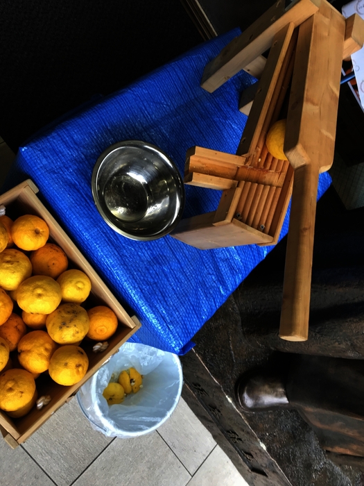 大人気!ゆず絞り体験(2)