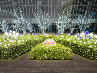 あべのハルカス 天空のイルミネーション 2025