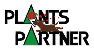 dBqHVYgltqdbcILzzfvG.jpg?w=940&h=940