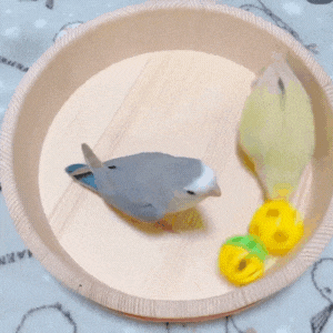 使用イメージ・鈴ボール