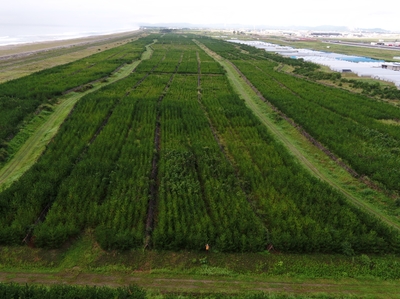 dDR2LnMGFr8YGA0b27wS.jpg?w=940&h=940