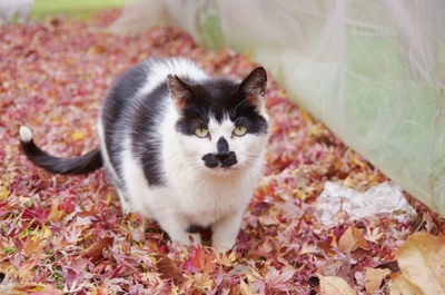 dEJLXtVzwSWZwTPCWw8e.jpeg?w=940&h=940