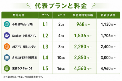 契約時特別価格・税込・年払い時の月額換算 更新後価格も申込前に確認できます