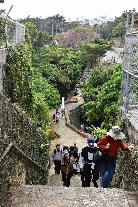 ウォーキング風景
