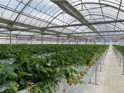 dEndAyIS4KCKOgu2XBrk.jpg?w=940&h=940