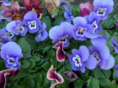 dEtiXF6K0ZWOc19Sq9YJ.jpg?w=940&h=940