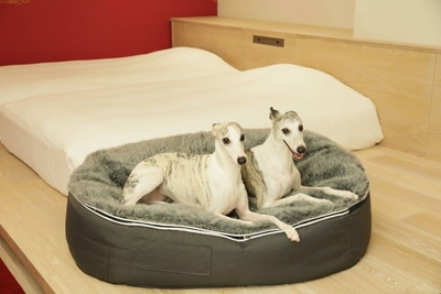 dFE2eyatpNBdhSMIbrwT.jpg?w=940&h=940