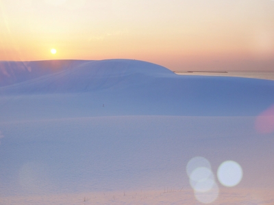 dFO5vgeBj23QqAUbtOzK.JPG?w=940&h=940