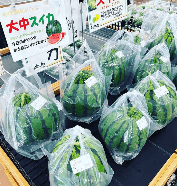 売れ残り新鮮野菜と果物をレスキュープロジェクトのクラウドファンディング実施中です！