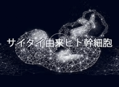 dFktCTjxOcYai3KCswaJ.png?w=940&h=940