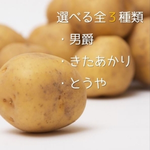 dFlMlYMvyXNcjmH9Kfpd.jpg?w=940&h=940