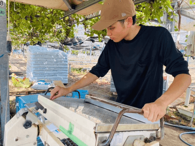 dFlm5UOKtF7Zfrx8ivl5.png?w=940&h=940