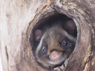 dGSGkE7Rke1kx3P88VBf.jpg?w=940&h=940