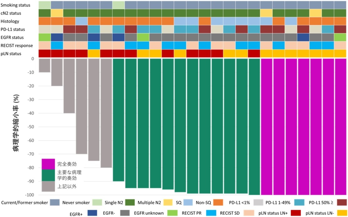 患者毎における病理学的縮小率 63%の患者で、がんの面積が10分の1以下に縮小(完全奏効)した
