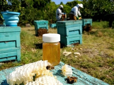 dH75wDzfOw0tyKcjBj4G.jpg?w=940&h=940