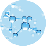 成分2:リピジュア