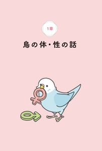 dHnecTD4DDMb1H953IDL.jpg?w=940&h=940