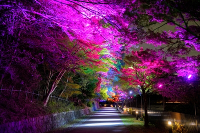 dHvNPlyvRjiJeNbztgPR.jpg?w=940&h=940