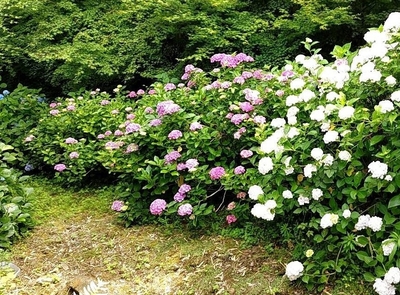 dIL7SvqKLbCZiTTzIHmQ.jpg?w=940&h=940