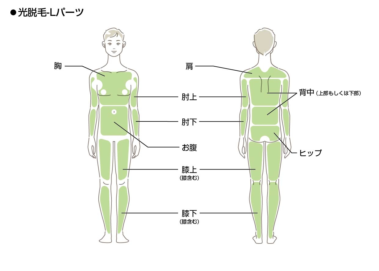 光脱毛Lパーツ