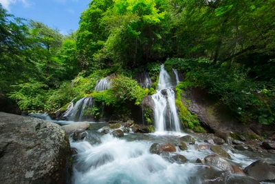 dJmcmwbjH0RI9JFziP3z.jpg?w=940&h=940