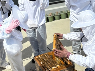 都会で養蜂？春の養蜂体験で「医誠会ハニー」を味わうイベント開催