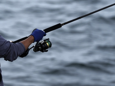 dKBncJxHCZUXWx5IAFPn.jpg?w=940&h=940