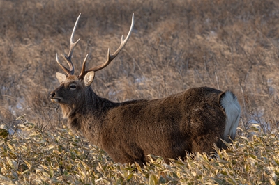 dKoAuKDZHvtl57PHZsYD.jpeg?w=940&h=940