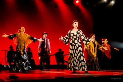 dLU5z19IIKyXknZRS9pO.jpg?w=940&h=940