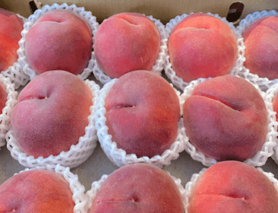 dM7ifXAJtzVHq1wEQDhm.png?w=940&h=940