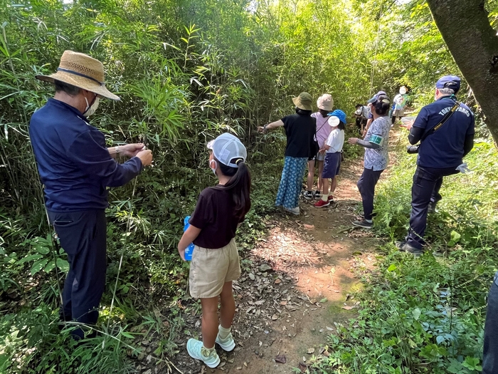 釣り竿になる竹を選びます。どれがいいかな?