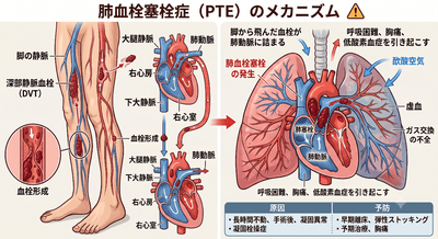 dMHoZCFYhc4hP2GukJrl.png?w=940&h=940