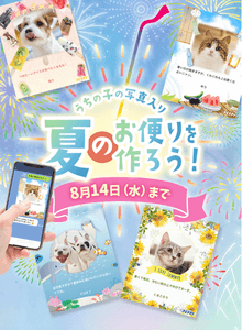 dN9skKJX1fpzm9XHeVVs.png?w=940&h=940