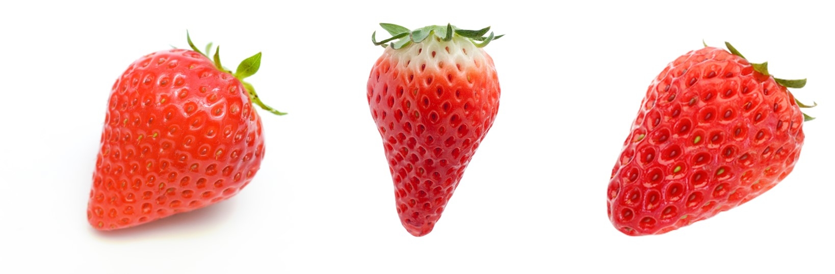 左から、紅ほっぺ/章姫/ゆめのか