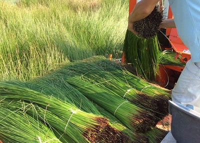 dNzznbu65366vDMmF82c.jpg?w=940&h=940