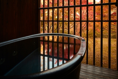 dPkwbLvrNkD4nbZ5komZ.jpg?w=940&h=940