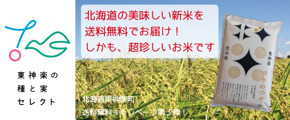 北海道から超珍しい、新米を送料無料でお届け！