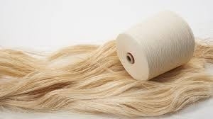 dUNQKDqZzEOP6kImg132.jpg?w=940&h=940