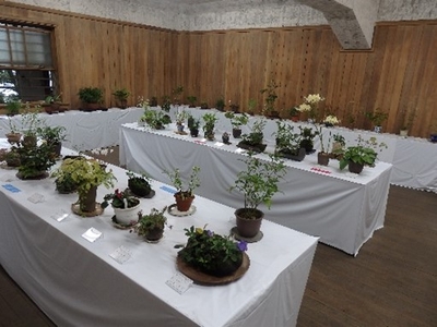 dUoGwz2bK9s3ThCCDmU2.jpg?w=940&h=940