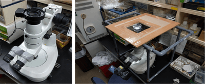 図４　倒立実体顕微鏡システム。 顕微鏡の鏡体を上下反転させ（左）、塩ビ管、段ボール、アクリル板で作製したステージに置いたコジマイシノミの配偶行動を腹面から観察（右）。