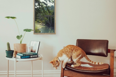 dVYAAEFg47DYeBiBiaFz.jpg?w=940&h=940