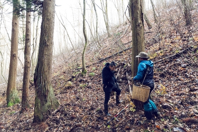 dWlLVIN14q2ciJQ8i7mz.jpg?w=940&h=940