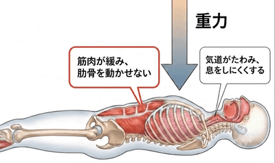dX48Q72vTuqbXDRCUXhd.png?w=940&h=940