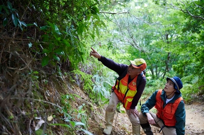 dXNrjy0jbKCDcFLTlNcD.jpg?w=940&h=940